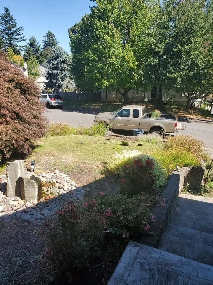 Trusted yard cleanup service experts serving Milwaukie, OR - All Phase Landscaping