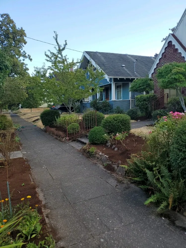 Custom yard cleanup service in Milwaukie, OR by All Phase Landscaping