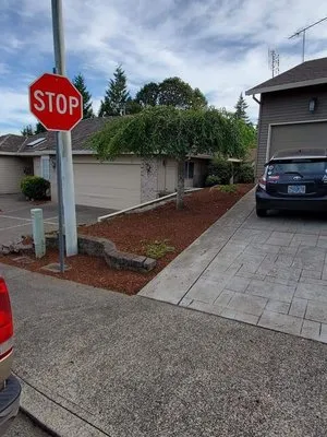 All Phase Landscaping