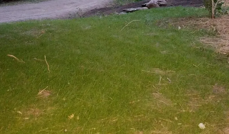 Professional landscape design with custom design across Essex Junction, VT - All Phase Property Maintenance