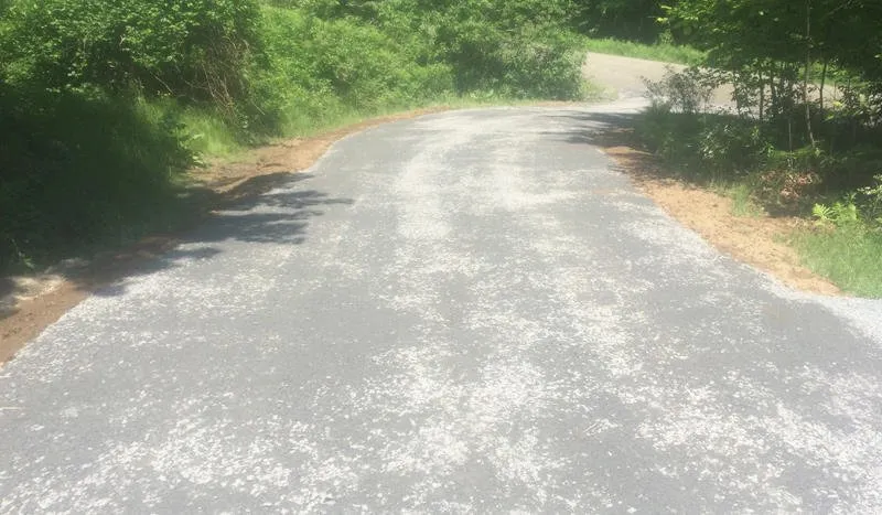 Expert yard maintenance for beautiful yards in Essex Junction, VT by All Phase Property Maintenance