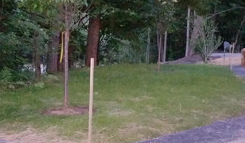 Expert outdoor landscaping in Essex Junction, VT - All Phase Property Maintenance