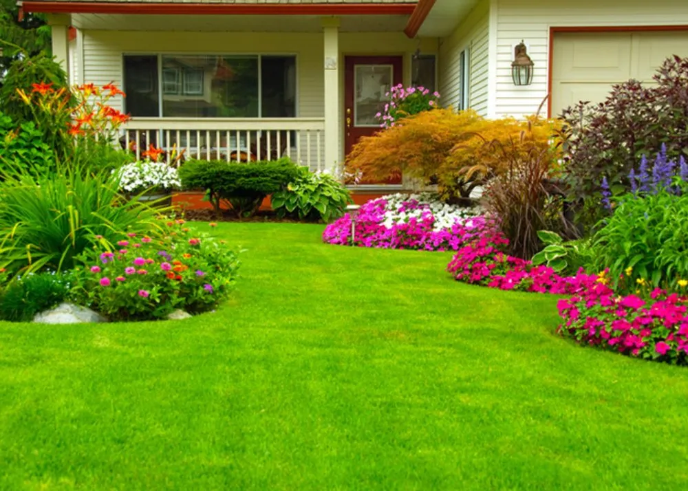 Expert yard maintenance experts serving Point Pleasant, NJ - All Phases Property Preservation