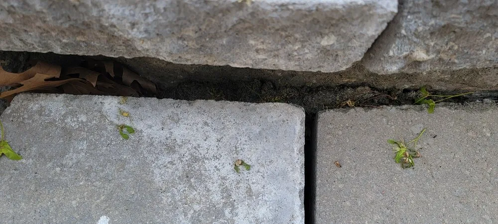 Expert landscape design in Freetown, MA by All Phases Renovations