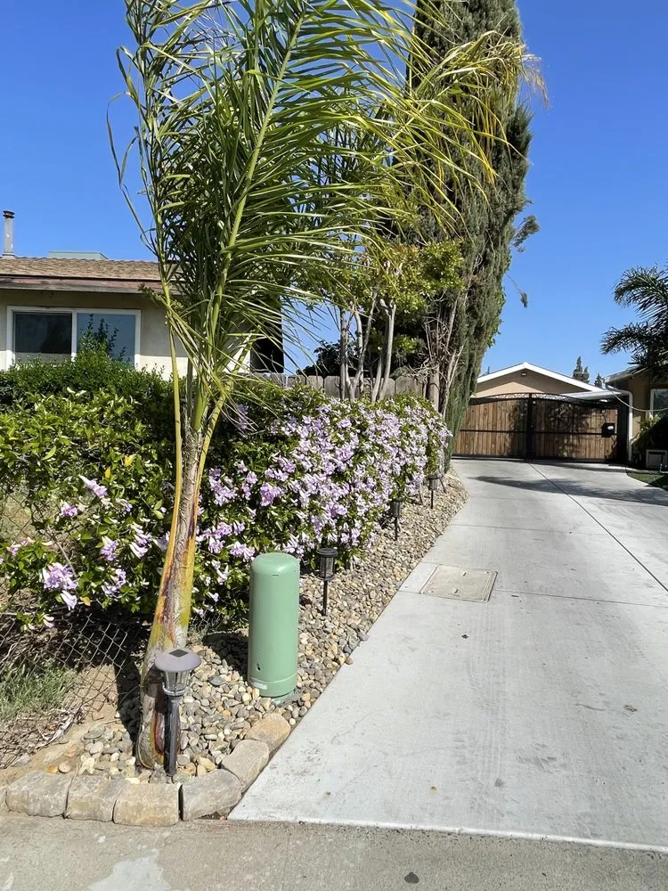 Custom lawn care service in Modesto, CA - All Points Landscape & Maintenance