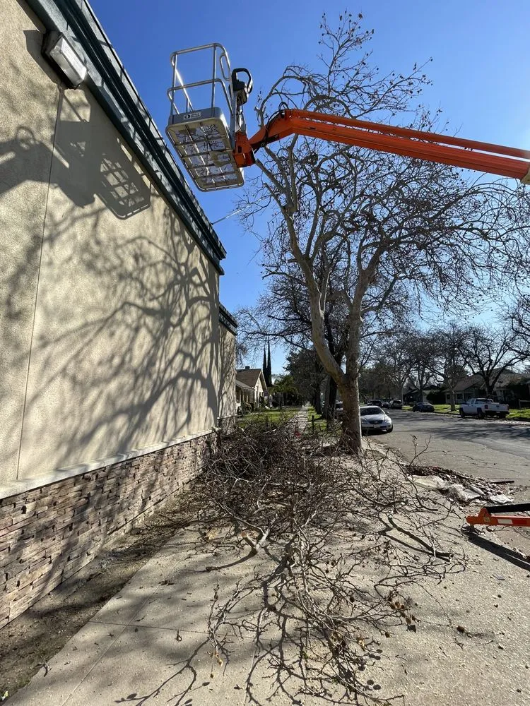 Local residential landscaping in Modesto, CA - All Points Landscape & Maintenance