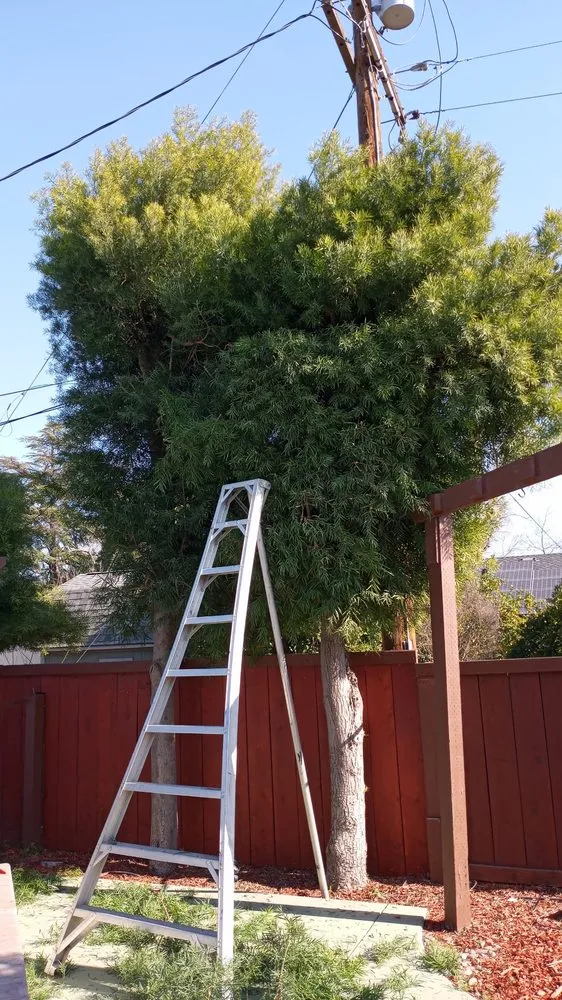 Trusted outdoor landscaping for year-round maintenance in Modesto, CA by All Points Landscape & Maintenance