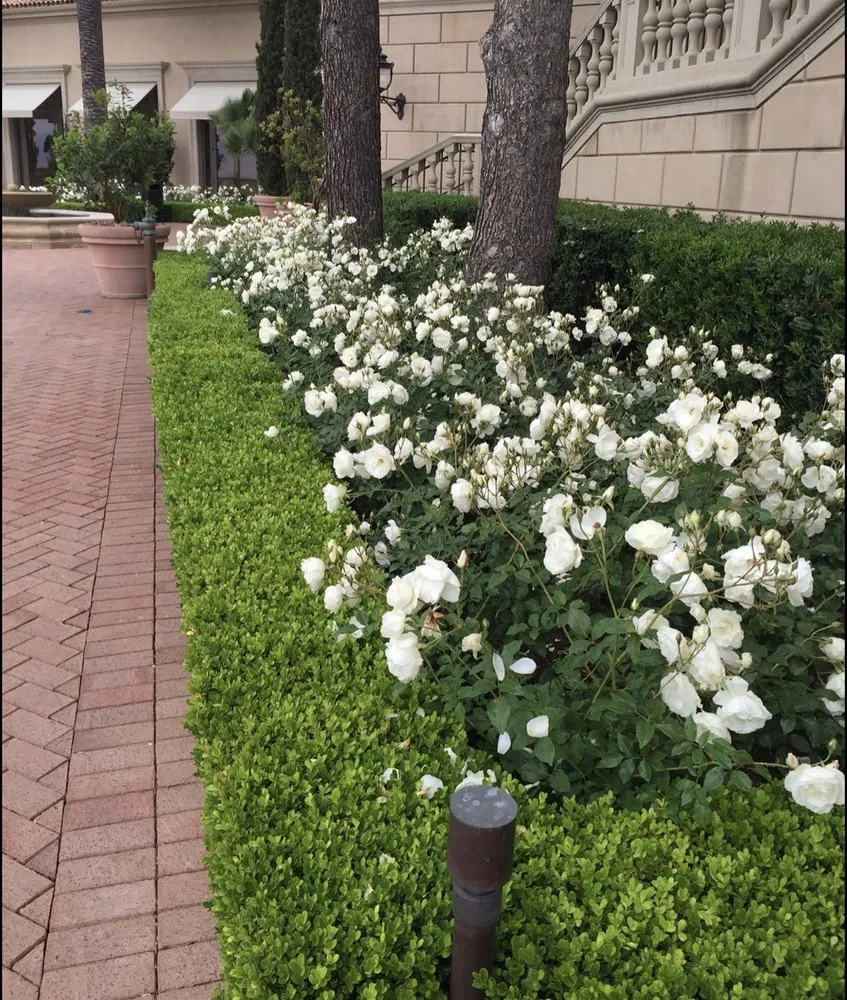 Professional residential landscaping experts serving Modesto, CA - All Points Landscape & Maintenance