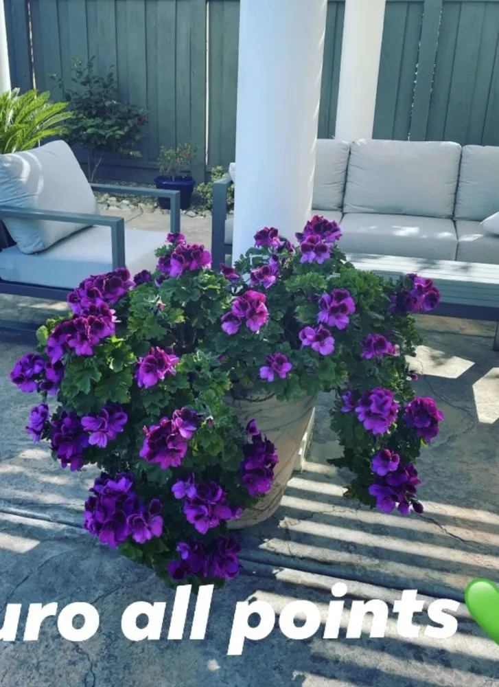 Professional yard cleanup service near you across Modesto, CA - All Points Landscape & Maintenance