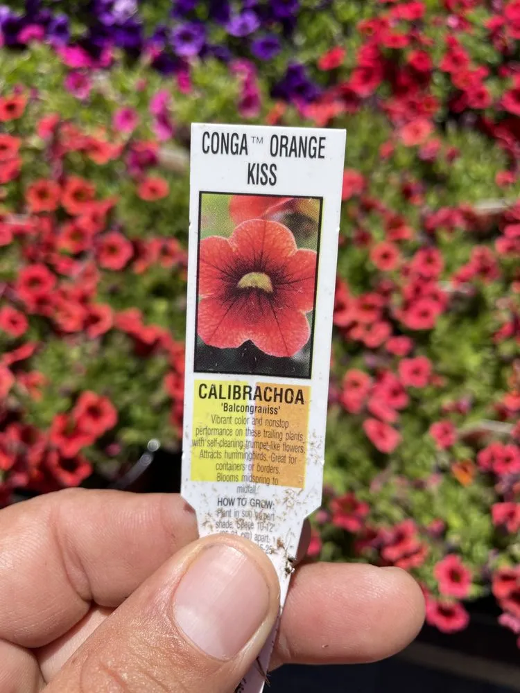 Expert garden landscaping experts serving Modesto, CA - All Points Landscape & Maintenance