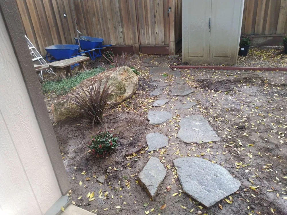 Professional lawn care service in Modesto, CA - All Points Landscape & Maintenance