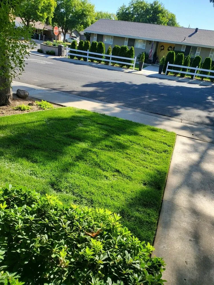 Reliable yard cleanup service in Modesto, CA by All Points Landscape & Maintenance