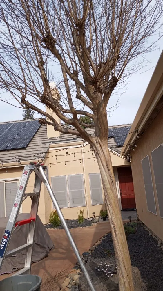 Affordable lawn care service experts serving Modesto, CA - All Points Landscape & Maintenance