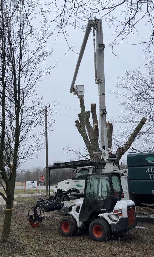 Reliable lawn care service in Indianapolis, IN by All Points Tree Service