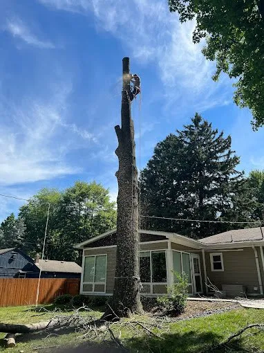 Expert garden landscaping experts serving Indianapolis, IN - All Points Tree Service