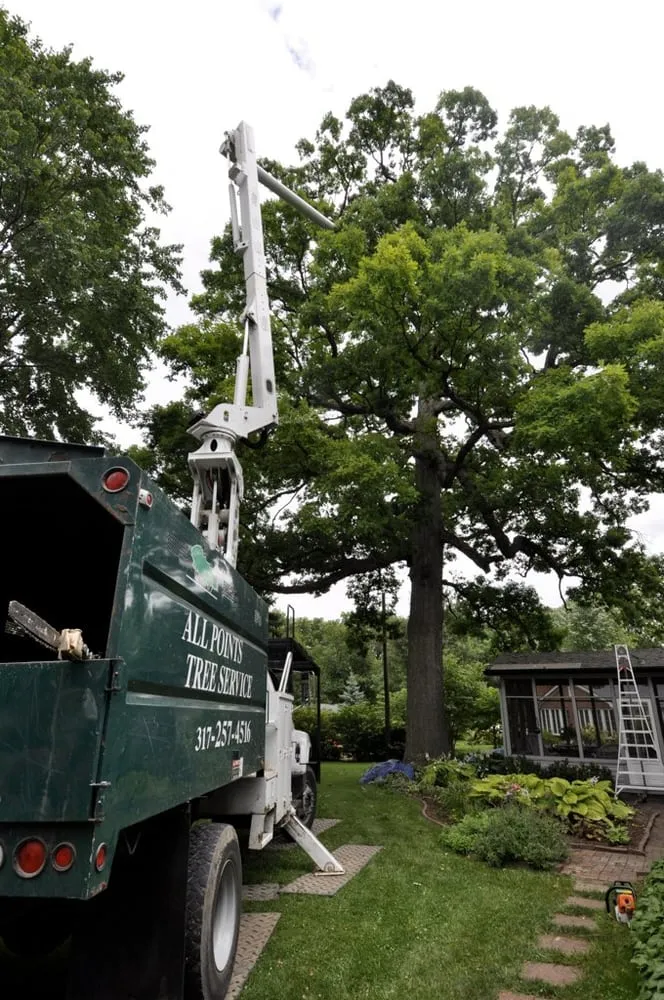 Expert outdoor landscaping experts serving Indianapolis, IN - All Points Tree Service