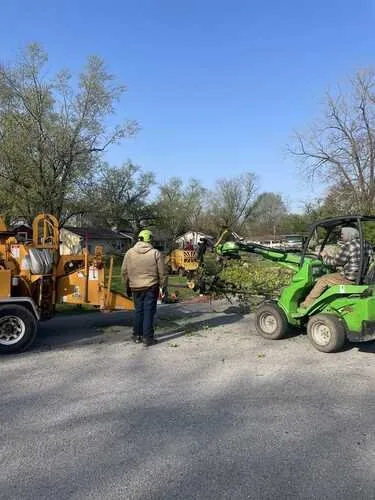 Custom outdoor landscaping in Indianapolis, IN - All Points Tree Service