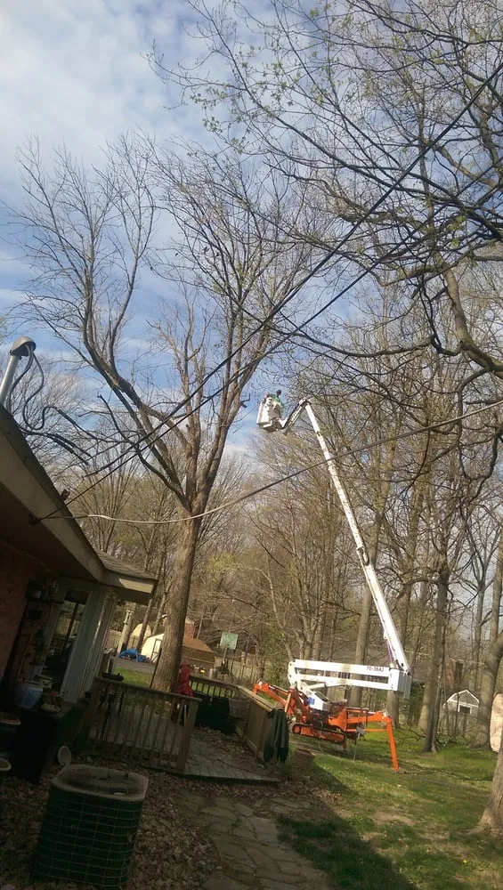 Affordable residential landscaping in Indianapolis, IN - All Points Tree Service