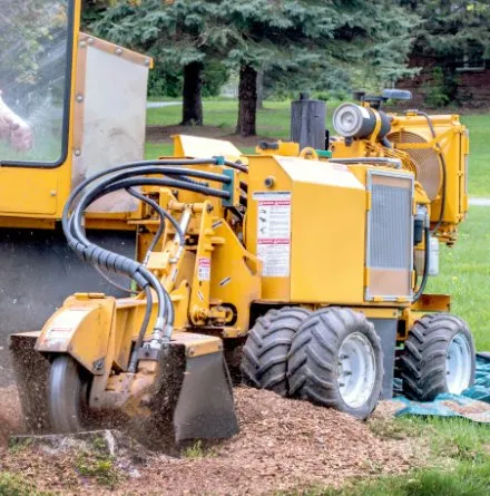 Reliable landscape installation in Indianapolis, IN by All Points Tree Service