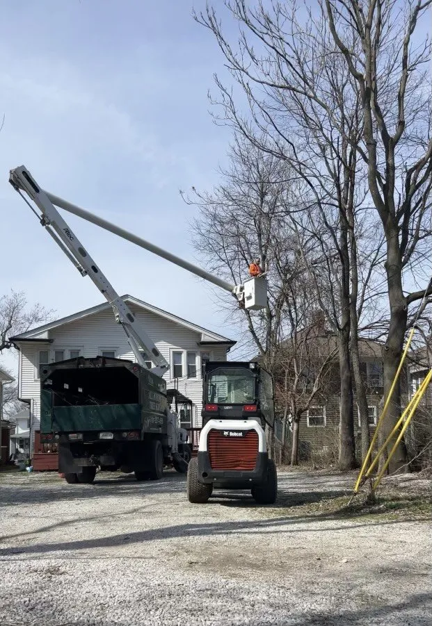 Trusted yard maintenance in Indianapolis, IN - All Points Tree Service