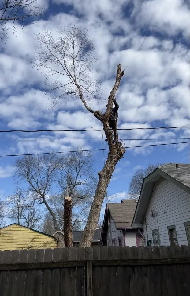 Affordable garden landscaping for homes across Indianapolis, IN - All Points Tree Service