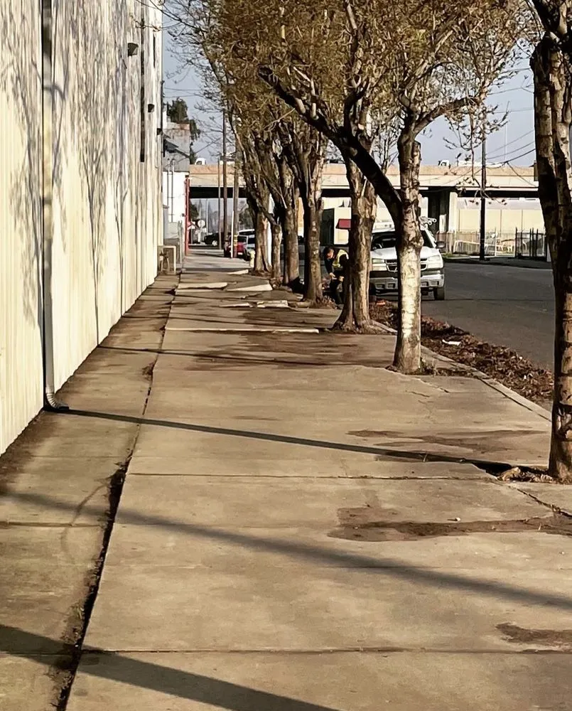 Affordable outdoor landscaping for beautiful yards across Modesto, CA - All Points Tree Service