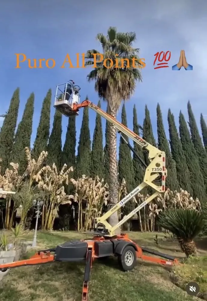 Affordable residential landscaping for outdoor upgrades across Modesto, CA - All Points Tree Service