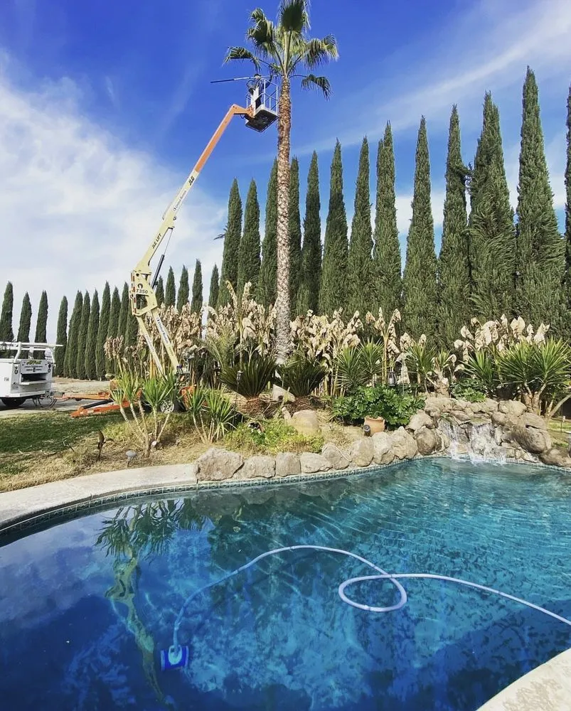 Top-rated landscaping services in Modesto, CA - All Points Tree Service