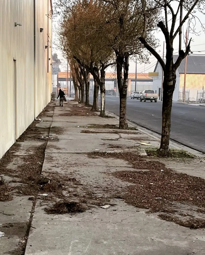 Trusted lawn mowing service with custom design across Modesto, CA - All Points Tree Service