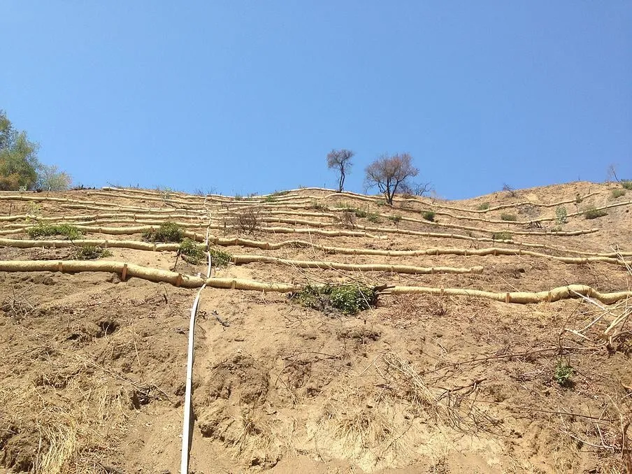 Trusted yard cleanup service experts serving Corona, CA - All Preferred Hydroseed