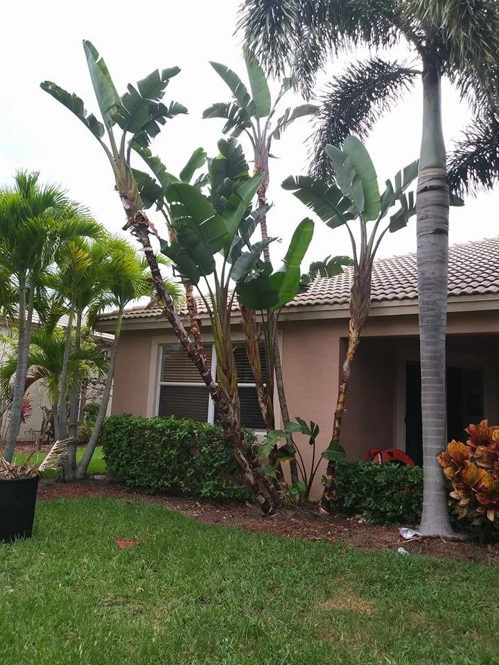 Expert landscaping services in Okeechobee, FL by All Pride Property Services