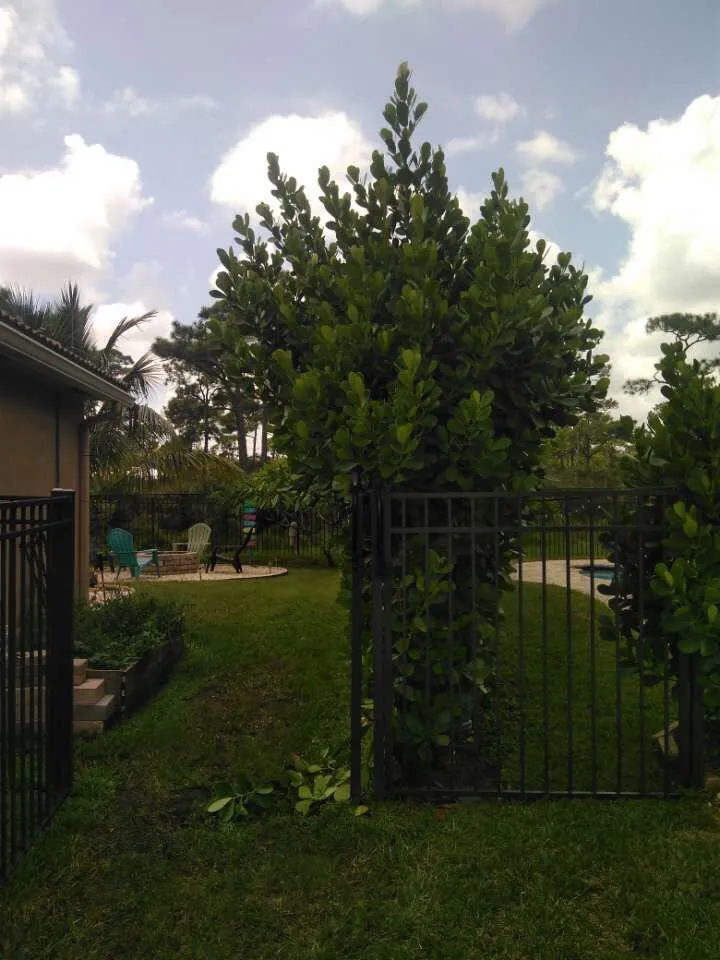 Top-rated landscape design for homes in Okeechobee, FL by All Pride Property Services