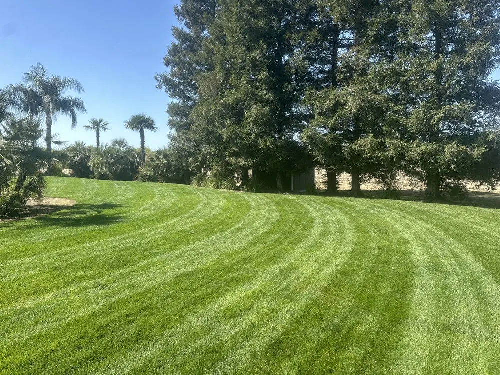 Reliable garden landscaping for residential properties across Hanford, CA - All Pro Cuts Lawn Care