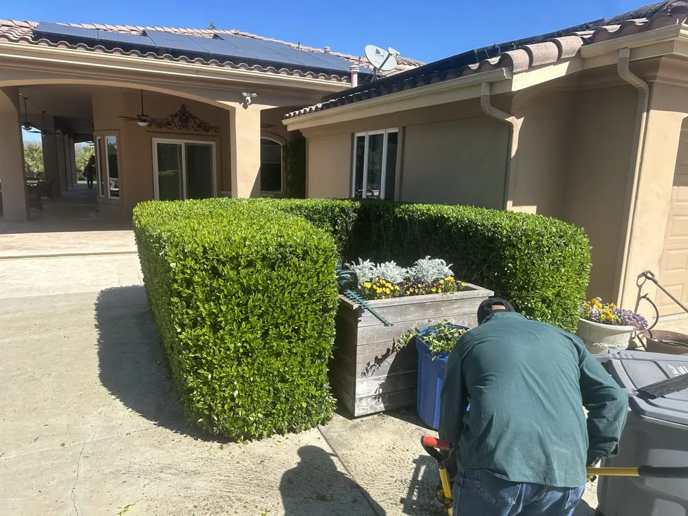 Top-rated residential landscaping for residential properties in Hanford, CA by All Pro Cuts Lawn Care