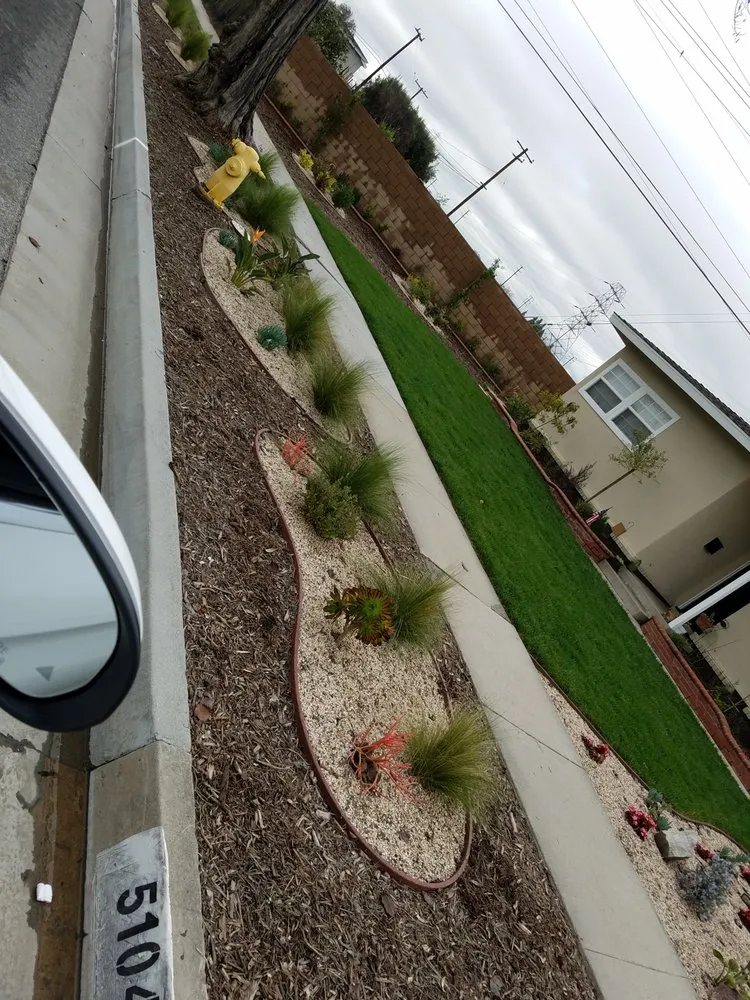 Custom yard cleanup service near you in Long Beach, CA by ALL-PRO Gardening & Landscape Design