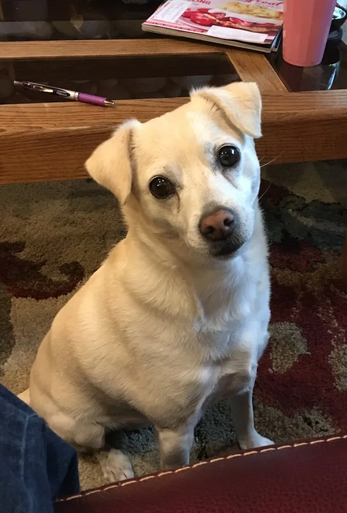 Custom landscape installation in Long Beach, CA - ALL-PRO Gardening & Landscape Design