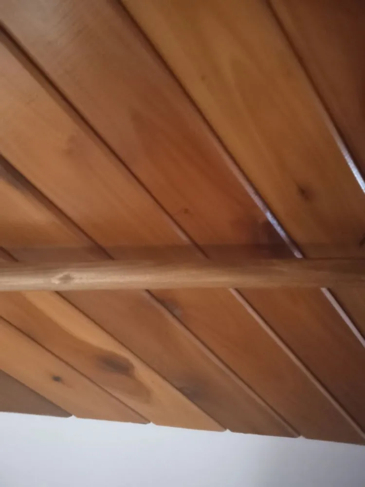 Reliable yard cleanup service in smithers, WV - All Pro Handyman Services
