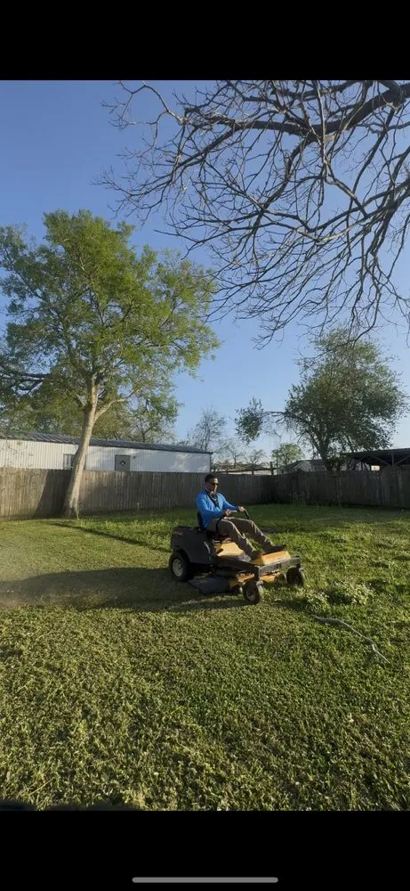 Trusted lawn care service with custom design across Baytown, TX - All Pro Home and Property Services
