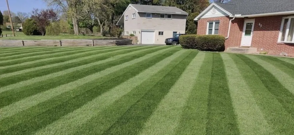 Custom outdoor landscaping in Baytown, TX by All Pro Home and Property Services