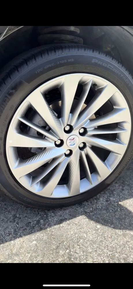 Custom yard maintenance for year-round maintenance across Baytown, TX - All Pro Home and Property Services