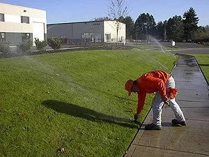 Custom landscape installation for residential properties in Austin, TX by All Pro Irrigation & Landscaping