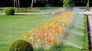 Expert lawn care service for outdoor upgrades in Austin, TX by All Pro Irrigation & Landscaping