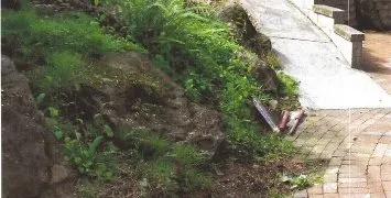 Professional lawn care service in Boring, OR by All-Pro Landscape