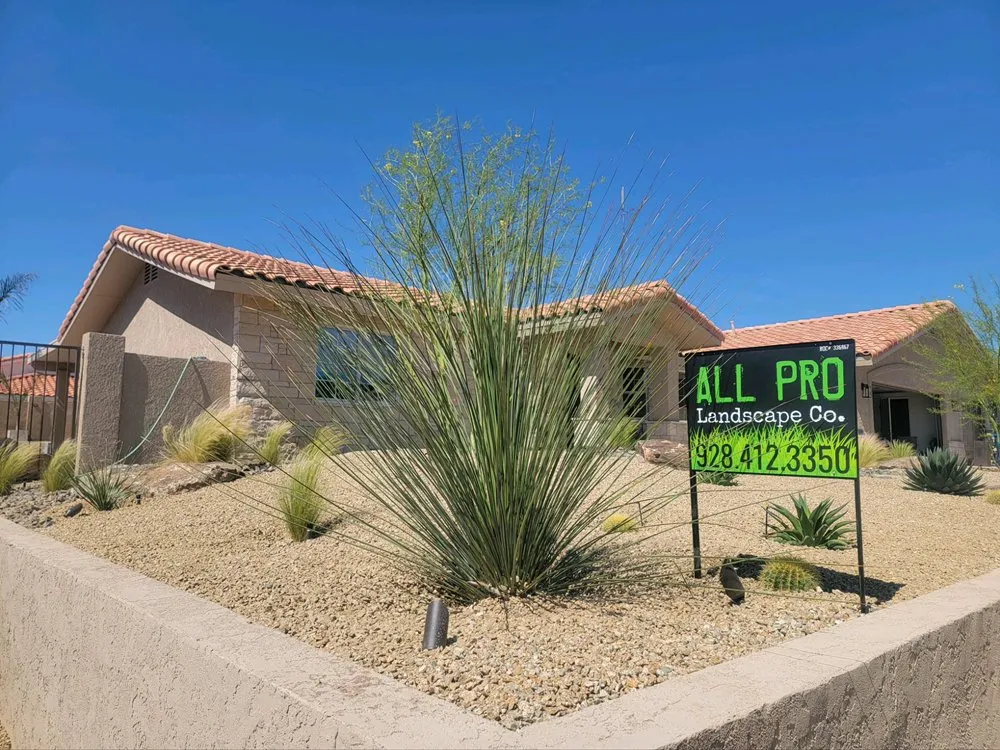 Reliable lawn mowing service in Lake Havasu City, AZ - All Pro Landscape