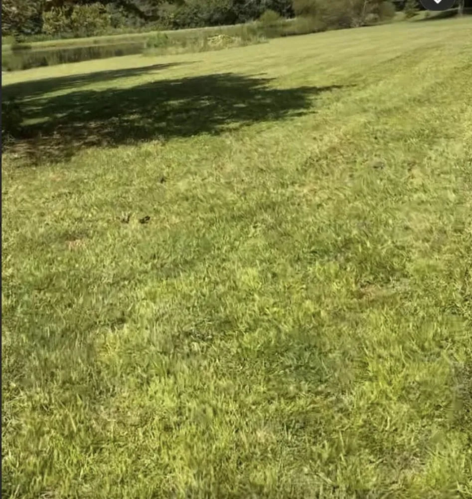 Trusted landscape installation experts serving Burlington, NC - All Pro Landscapes