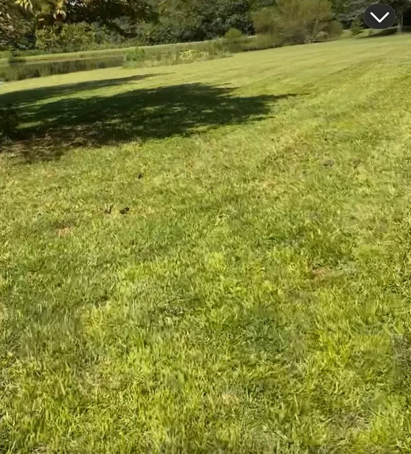 Trusted lawn care service experts serving Burlington, NC - All Pro Landscapes