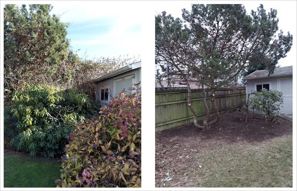 Affordable yard cleanup service for outdoor upgrades in Seattle, WA by All Pro Landscapes