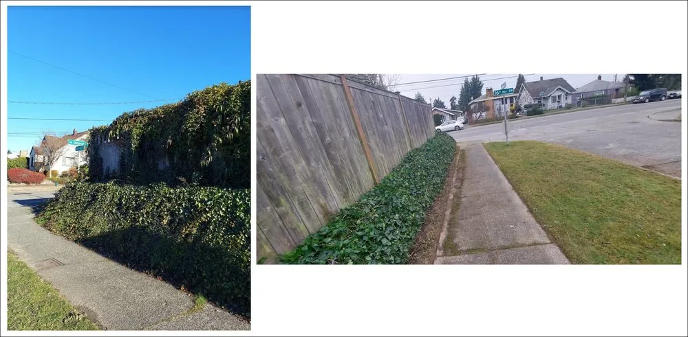 Trusted lawn care service in Seattle, WA - All Pro Landscapes