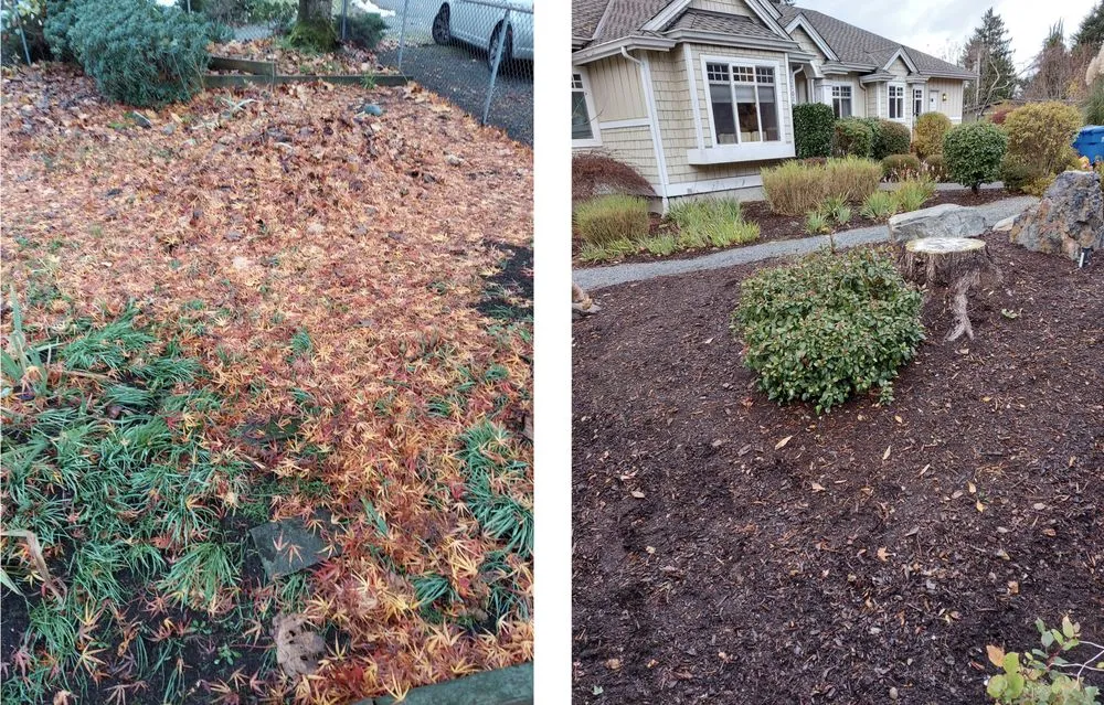 Top-rated yard cleanup service in Seattle, WA by All Pro Landscapes