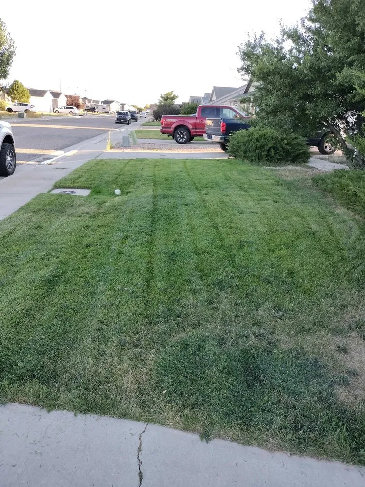 Local lawn mowing service in Cedar City, UT - All Pro Landscaping